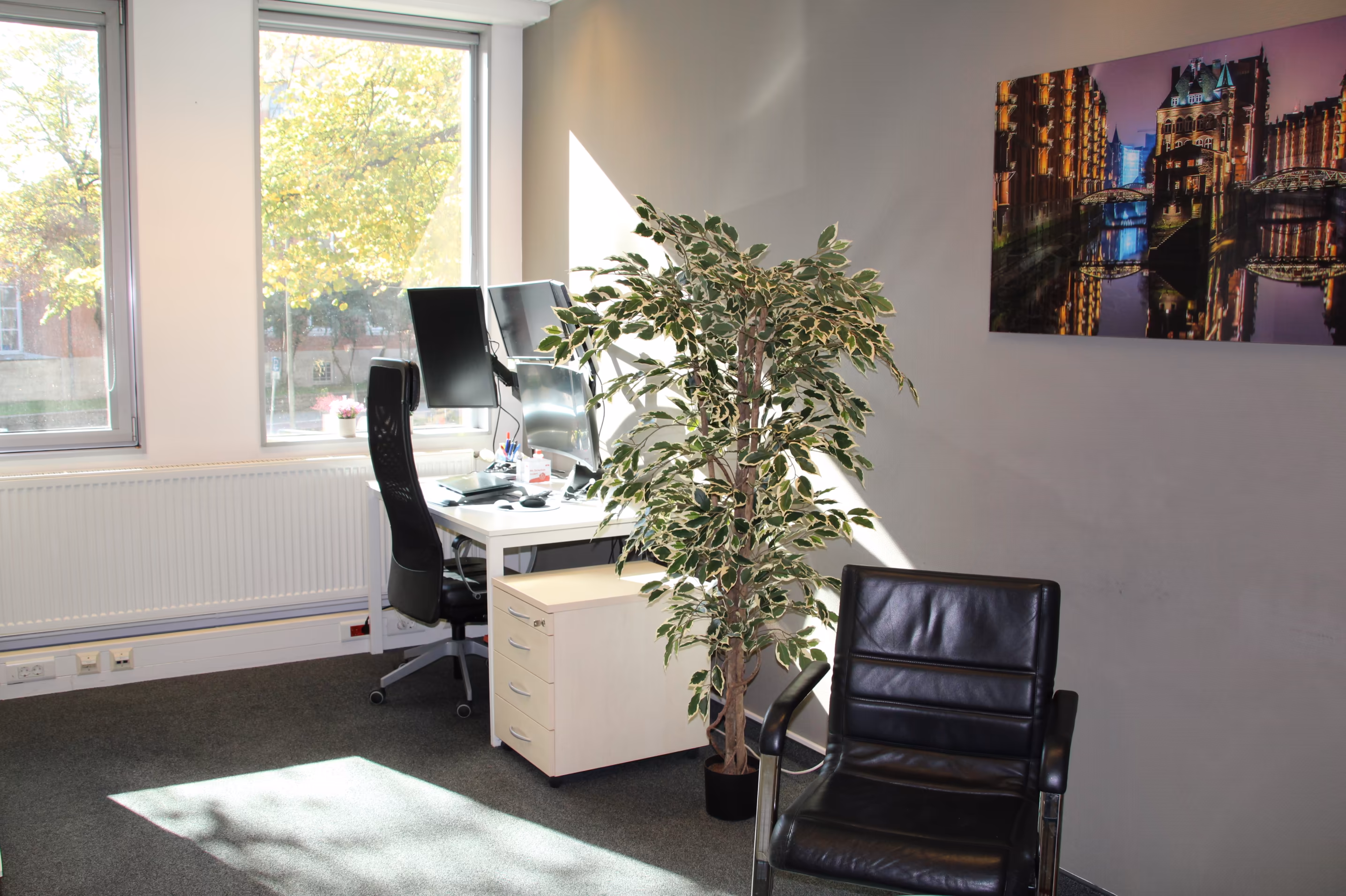 helles Büro mit Schreibtisch, Sitzecke und Pflanzen im BZ-Business Center. Vor dem Fenster ein Baum
